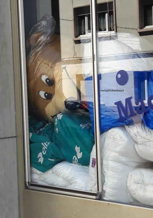 ...des "insolites" de juillet, ça vous dit?