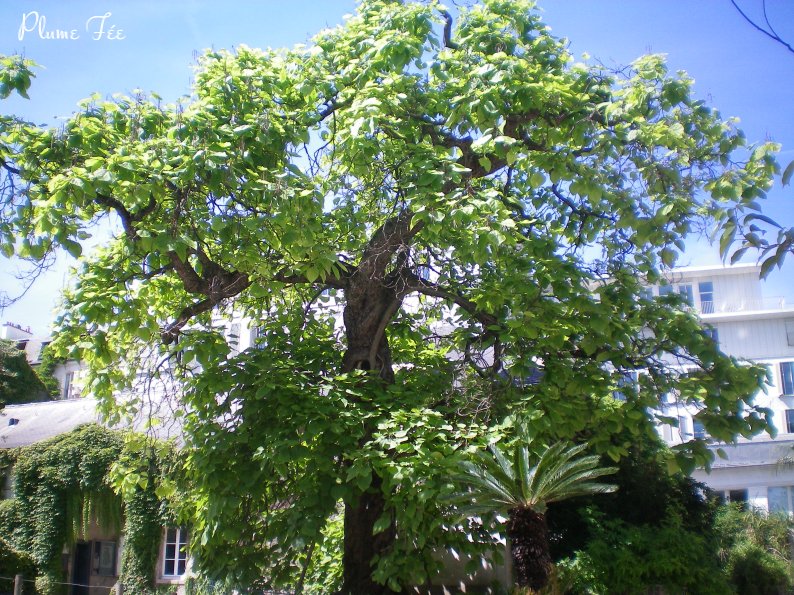 Image002.jpg