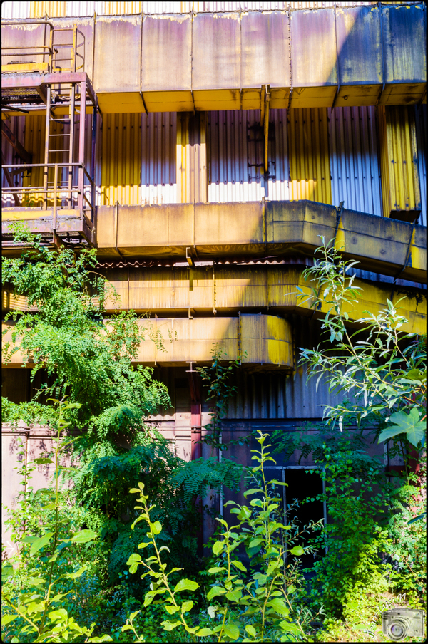 l'Usine (en couleurs ou en noir et blanc ?)