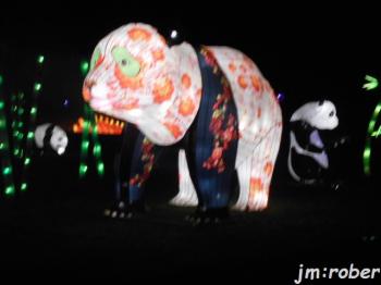 Limoges : L'odyssée lumineuse (3) et fin