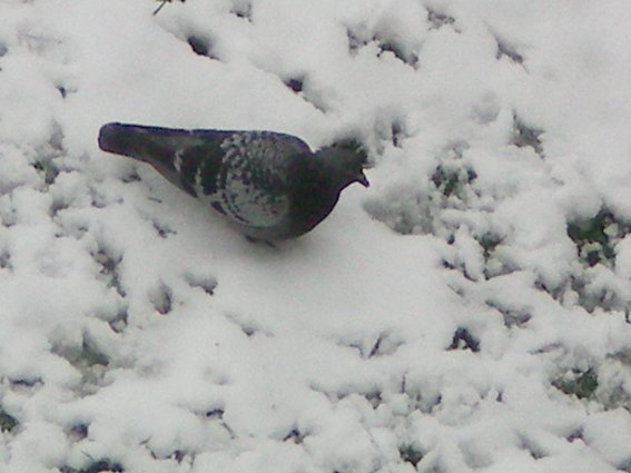 image50.jpg