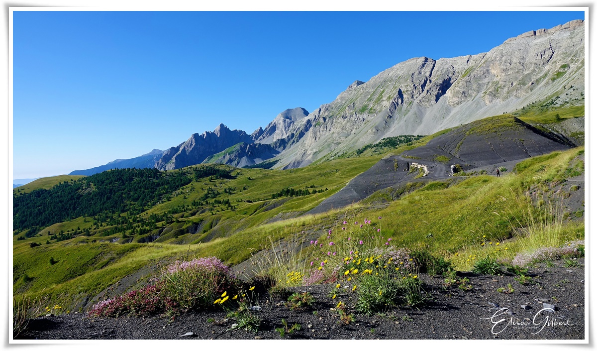 Le Col des Champs (côté Mercantour)