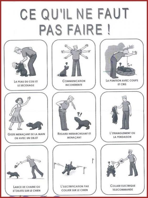 Mon Adoration