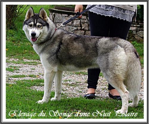 Isis (2,5 ans)