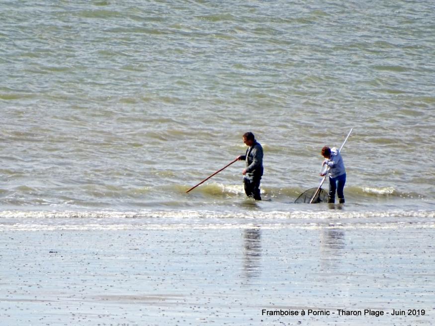 Journée d'été à Tharon plage  (44)
