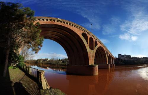 Albi  (Tarn)