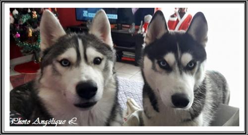 Jeska (2,5 ans)