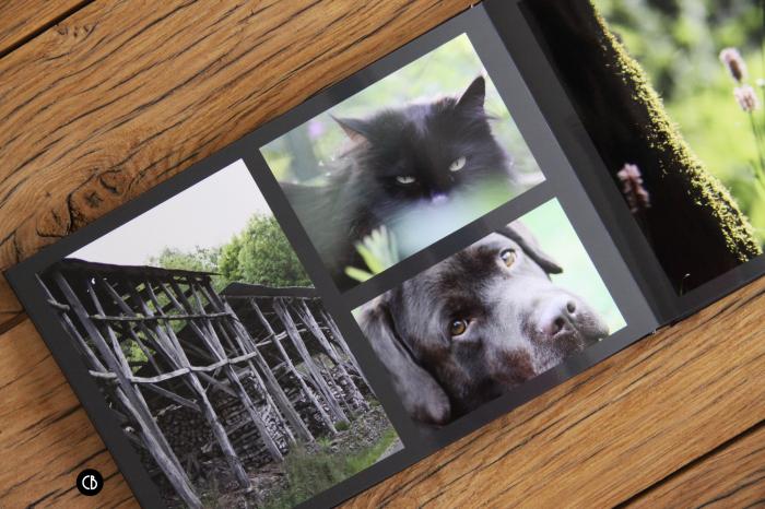 Saal Digital, quand le livre photo prend une autre dimension