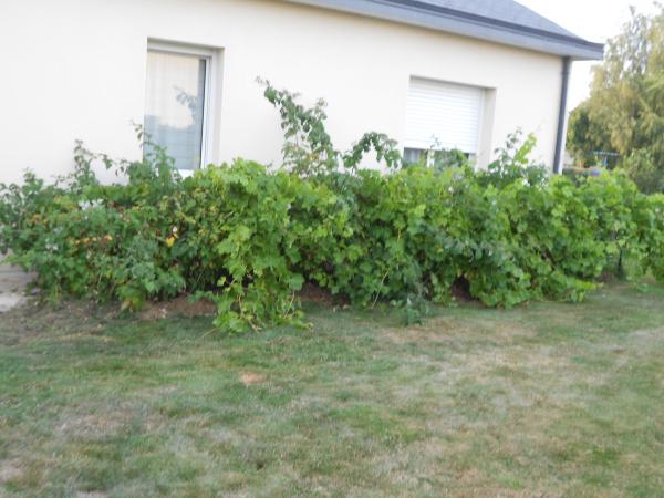 Un petit tour de jardin ... !!!