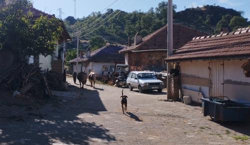 La route entre UŞAK et KUTHAYA