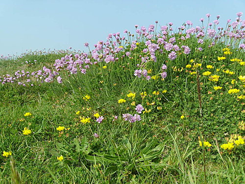 IMGP0305.JPG