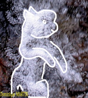 LES EMANANTS ANIMAUX 2