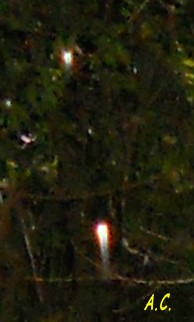 La page d'Annie Claire 