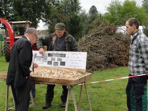 La fête de l'automne 2010 à Leuglay