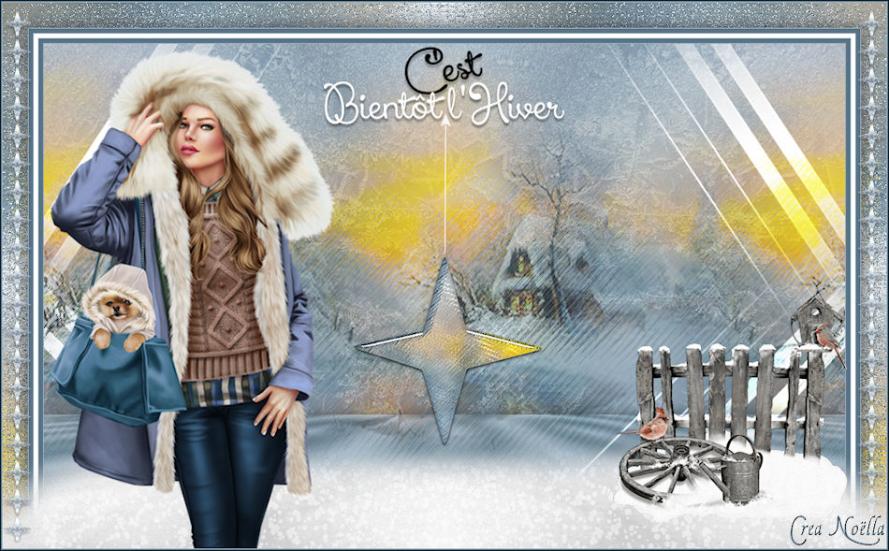 C'est bientôt l'Hiver