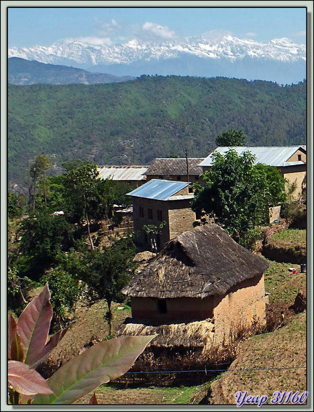 Blog de images-du-pays-des-ours : Images du Pays des Ours (et d'ailleurs ...), Traversée des collines entre Nagarkot et Katmandou: maison traditionnelle népalaise - Népal