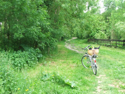 DSCF3531.JPG