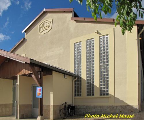 La Société Mycologique du Châtillonnais a organisé une exposition de très beaux champignons à Mussy sur Seine...