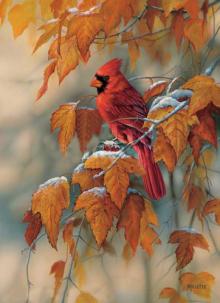 Les couleurs de l'Automne