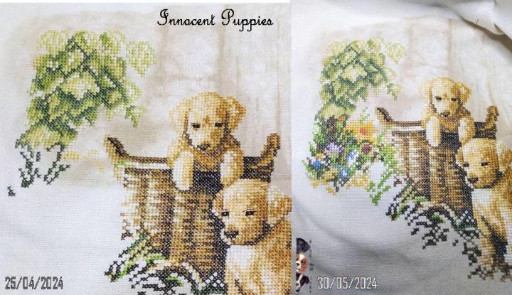 Innocent Puppies (8)