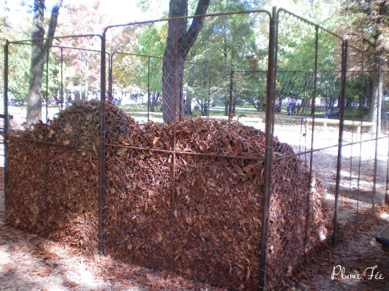 Image008.jpg
