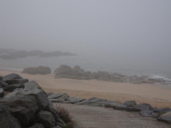 Du gris, du gris, sans nuance !