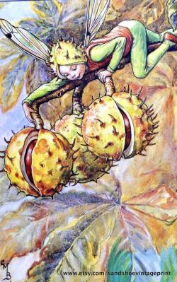 Les plantes ont-elles des superpouvoirs ?