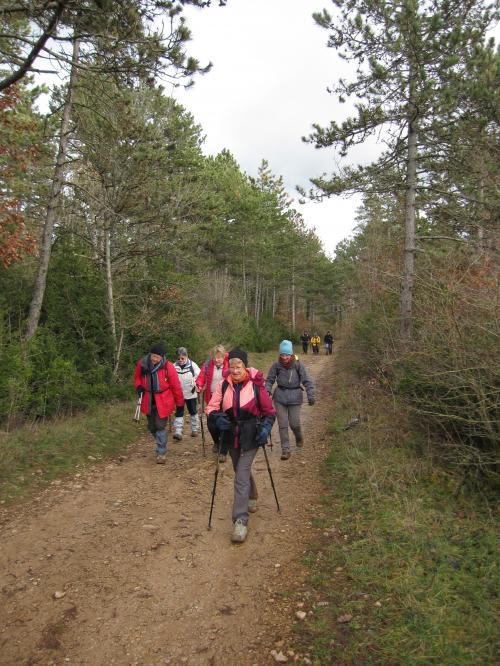 "Ahuy - Charmes aux Lièvres" - Dimanche 17 janvier 2016