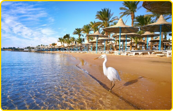 ⊱♥⊱╮ღ꧁  Les Beaux Sites ꧂ღ ⊱♥≺