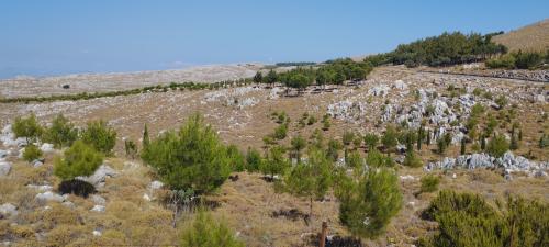 Les chemins de traverse 1/2