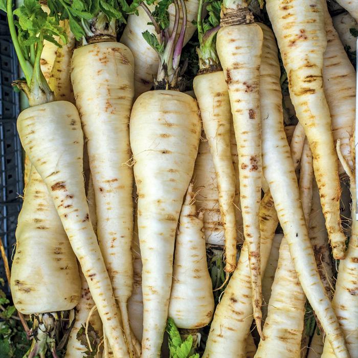 Légumes du mois d'Août