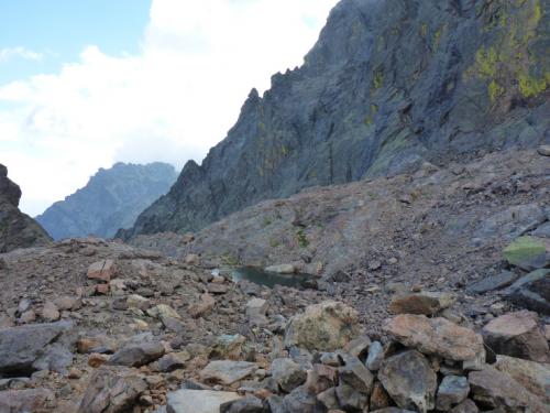 CORSE GR 20