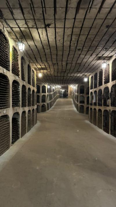 Moldavia - Route des vins -- 