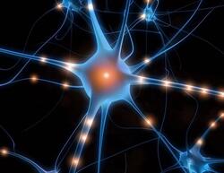 04-Les neurosciences nous aident