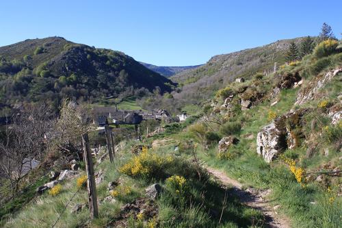 Les Cevennes