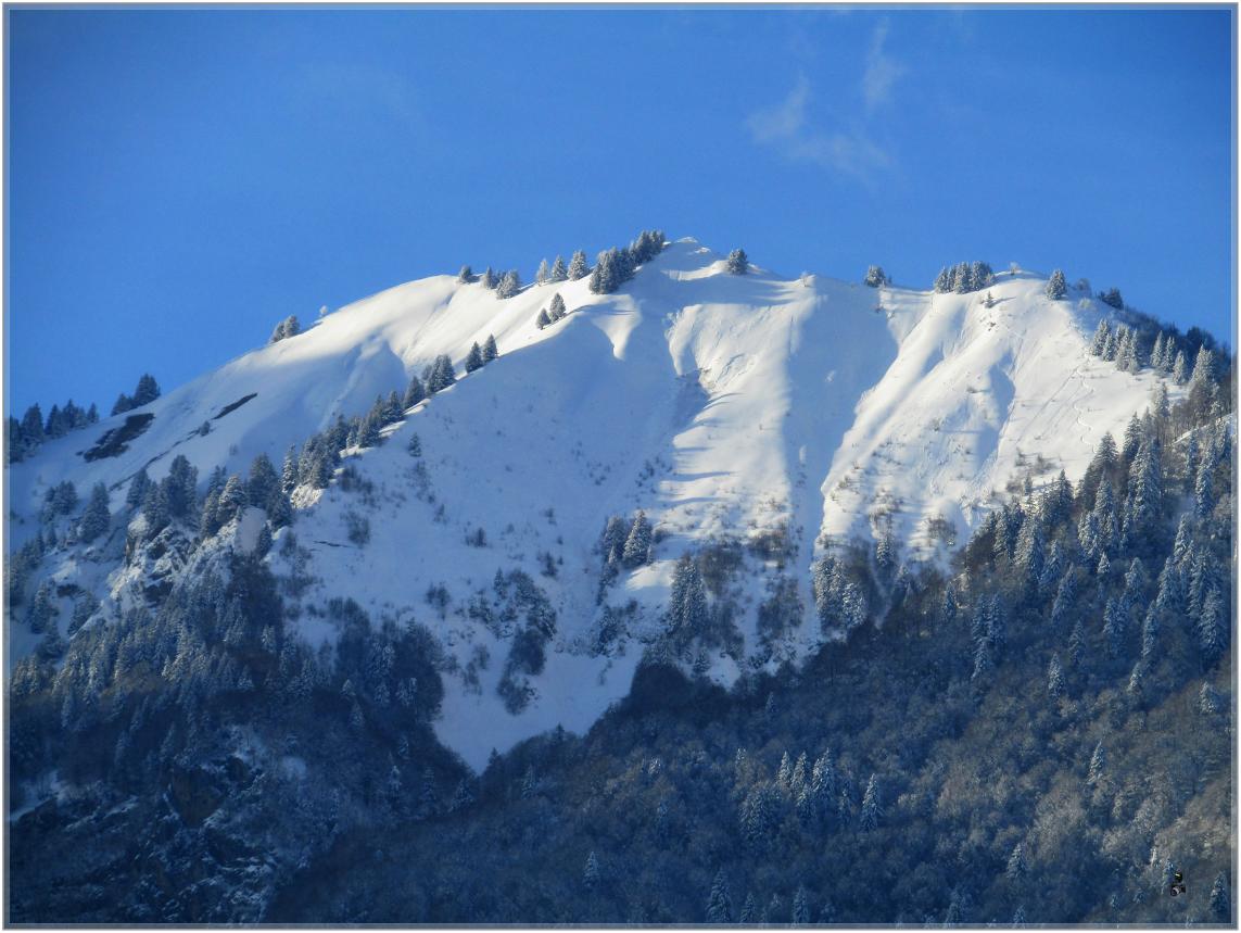 UN TEMPS DE SAISON JANVIER 23