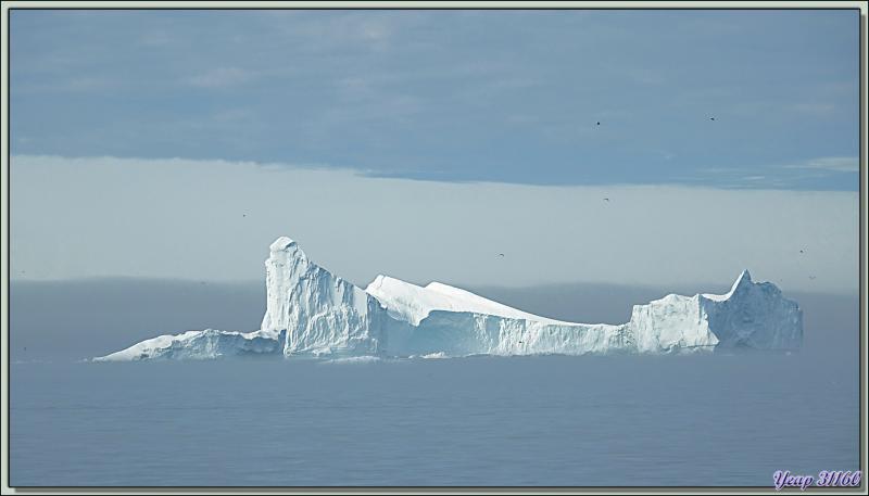 Vues sur le flanc de l'amas d'icebergs issus du Glacier Isfjord (zooms de 1100 à 250 mm) - Baie de Disko - Groenland