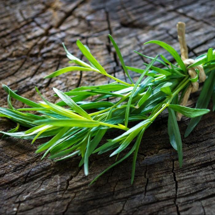 Plantes aromatiques  1ère partie