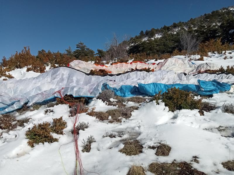 Lundi 4 mars, sortie à la montagne