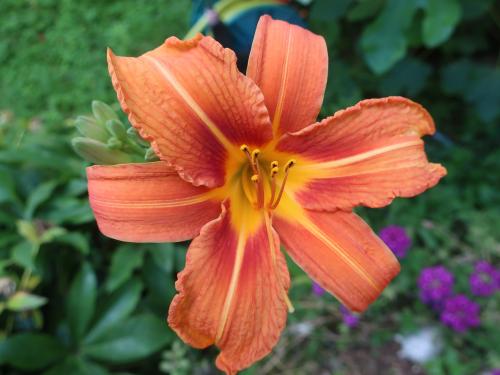 Partout où l'homme apporte son travail, il apporte aussi un peu de son coeur