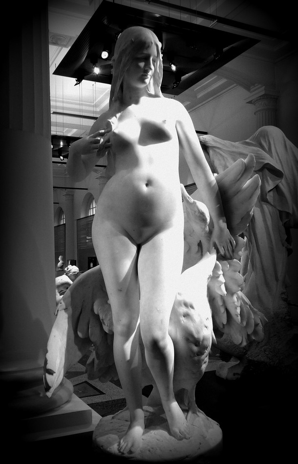 Le grand Musée de Picardie