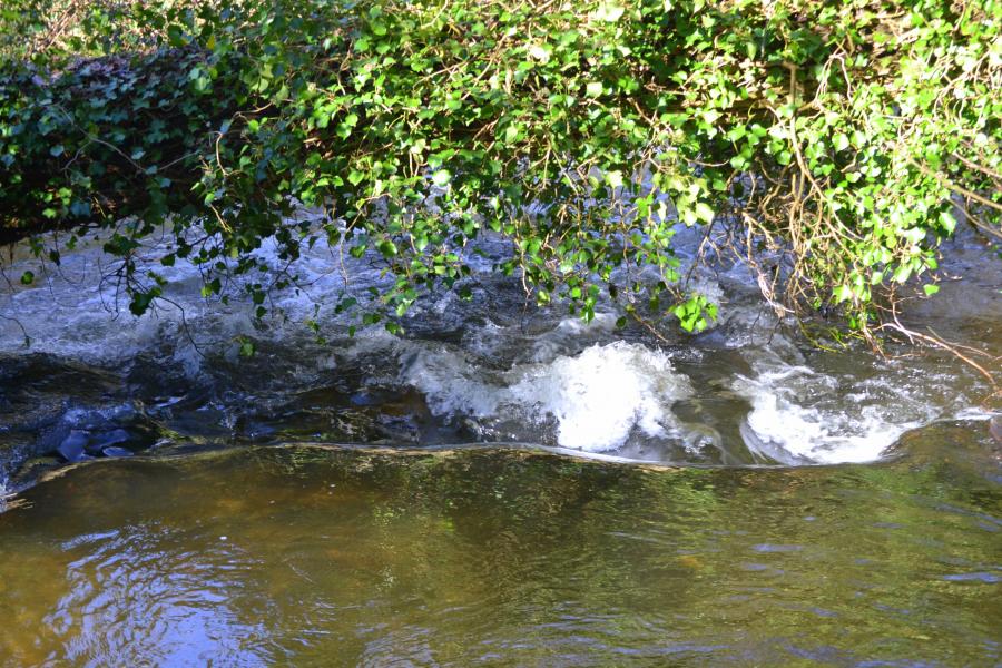 suivant la rive de la PENZE (la promeneuse )