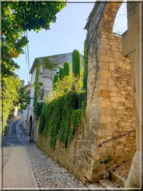 1010 - Vaison-la-Romaine dans le Vaucluse (84)