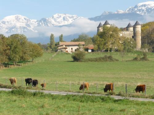 Lundi en une, deux, trois, quatre ( Ou plus ) photos 