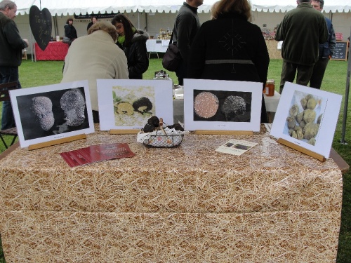 La fête de l'automne 2010 à Leuglay