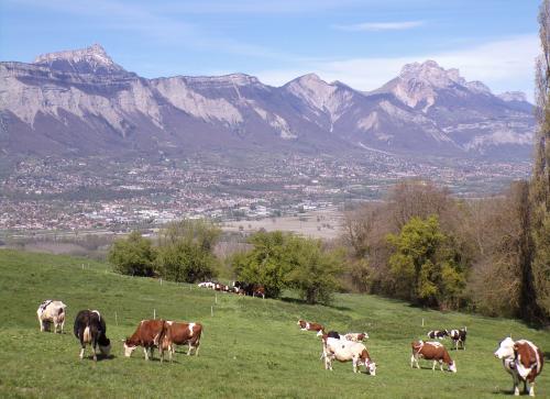 Une petite balade qui fait du bien : 4 
