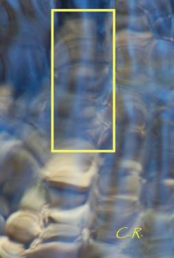 Rubrique Photos exceptinnelles d'Emanants : Les EMANANTS DES ETRES DE LA NATURE