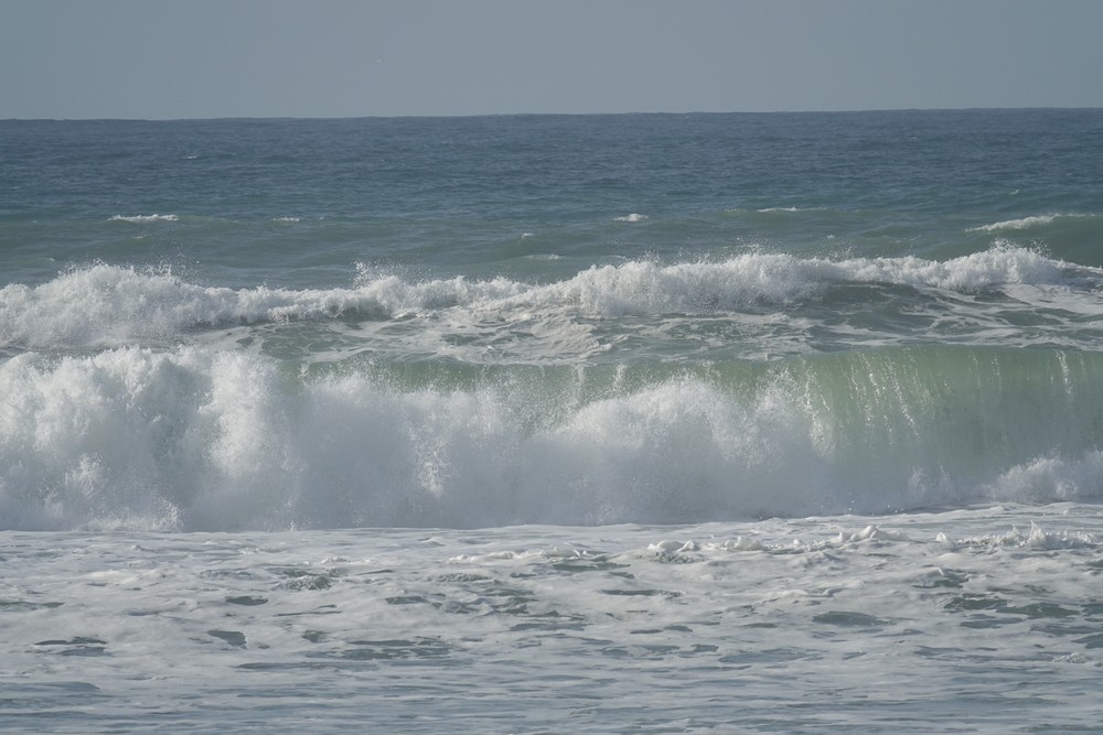Balade au bord de l'Océan Atlantique - février 2019...