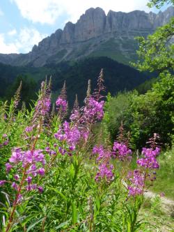 Méli mélo de juillet 