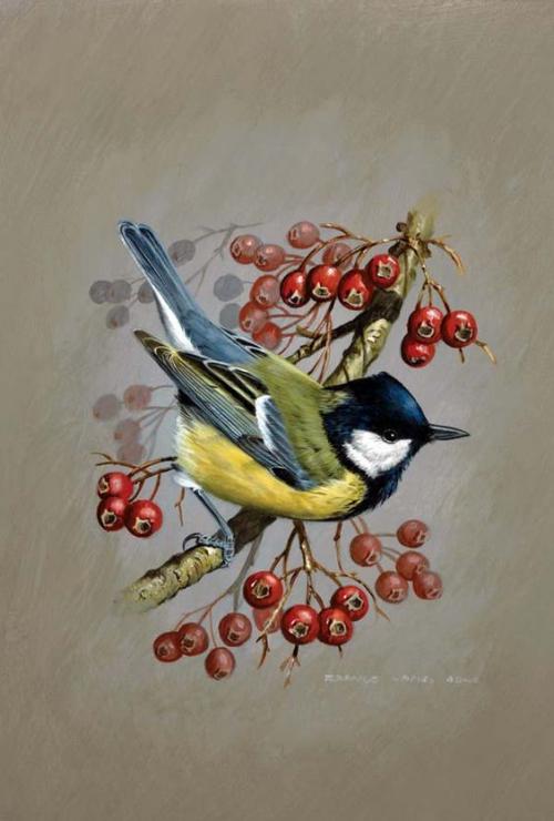 oiseaux en peinture (suite)